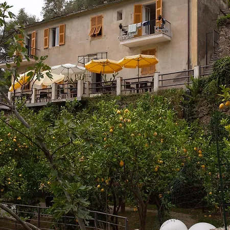 La Casa Dei Limoni-3