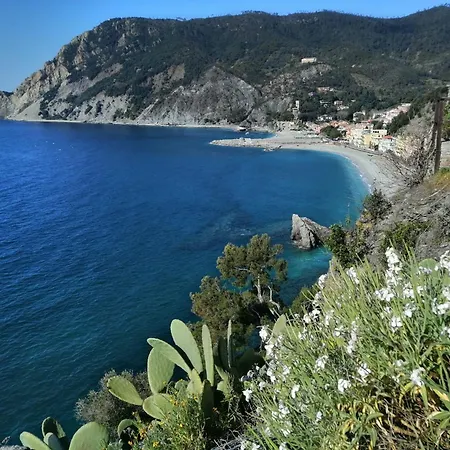 Affittacamere Monterosso 5 Terre-3